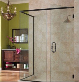 Shower Door Brushed