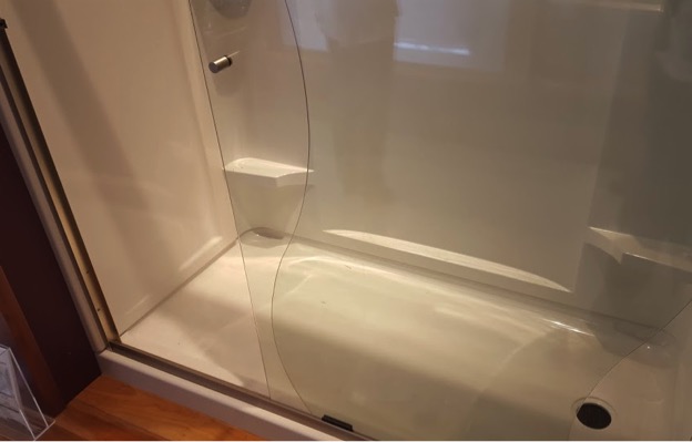 Frameless Shower Door