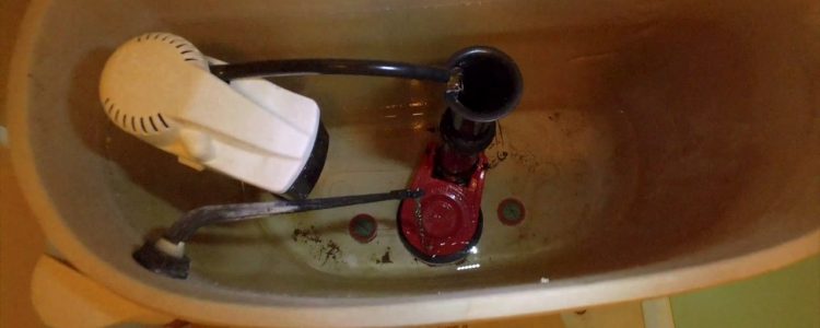 How to Check for a Leaky Toilet