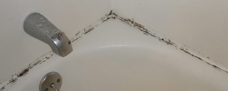 Showers & Mold: A Never-Ending Battle
