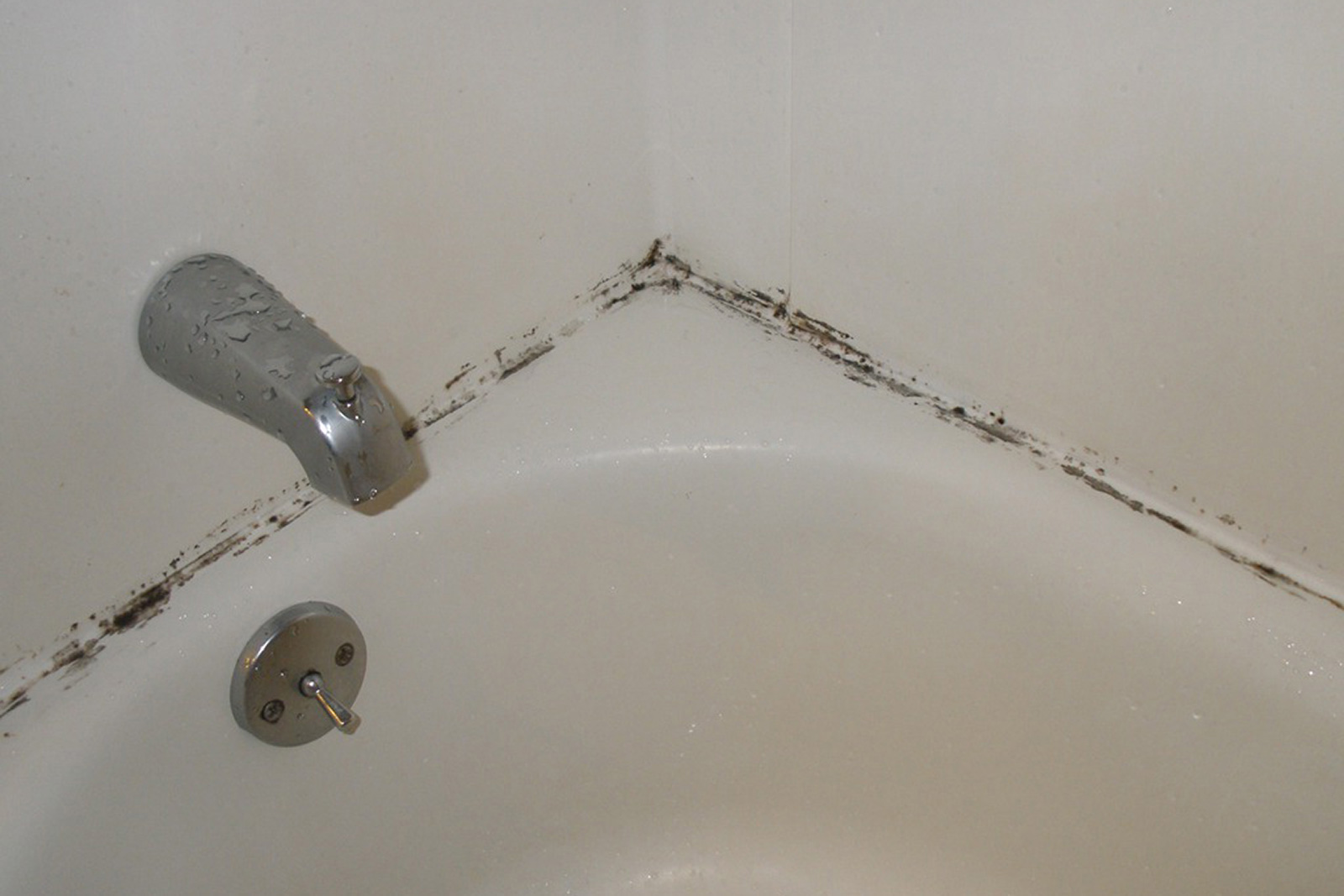 Showers & Mold: A Never-Ending Battle - Handy Man Home Remodeling